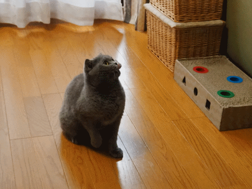 3f.gif