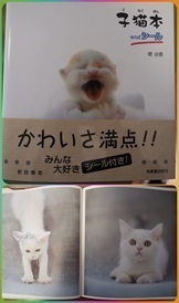 P3133053_01 - コピー2-down小.jpg