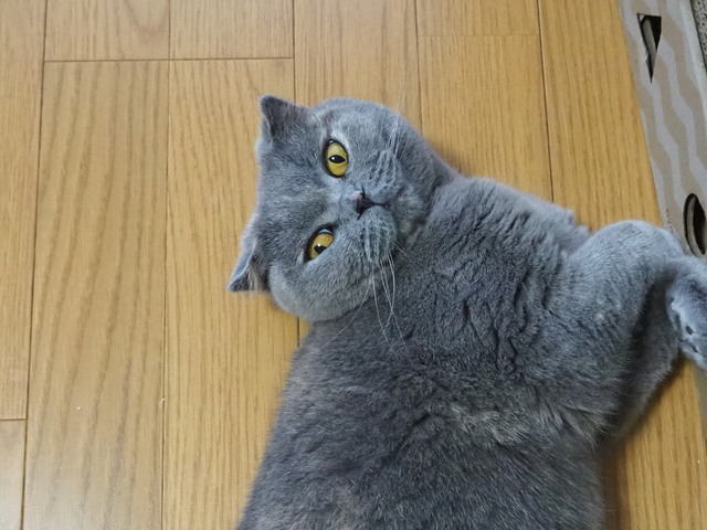 P4083224.JPG