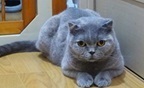 P4083246 - コピー.JPG