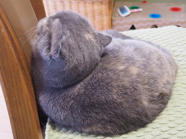 P5043222_01.JPG
