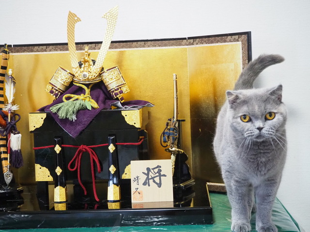 P5063233 - コピー.JPG