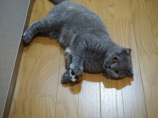 P5173262.JPG